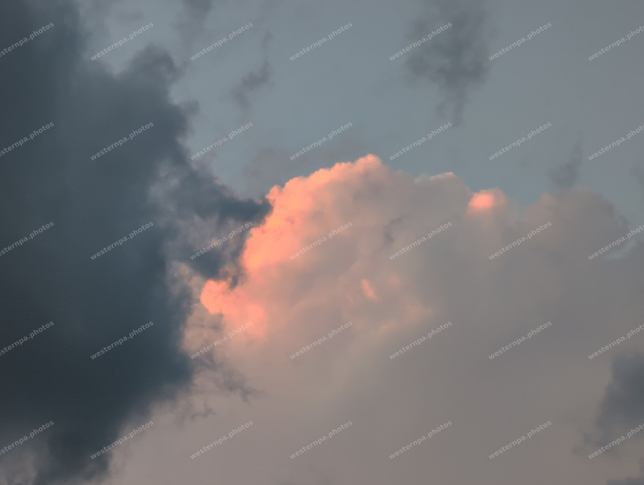 Towering cumulus storm cloud lit pink and peach by sunset beside a dark gray cloud