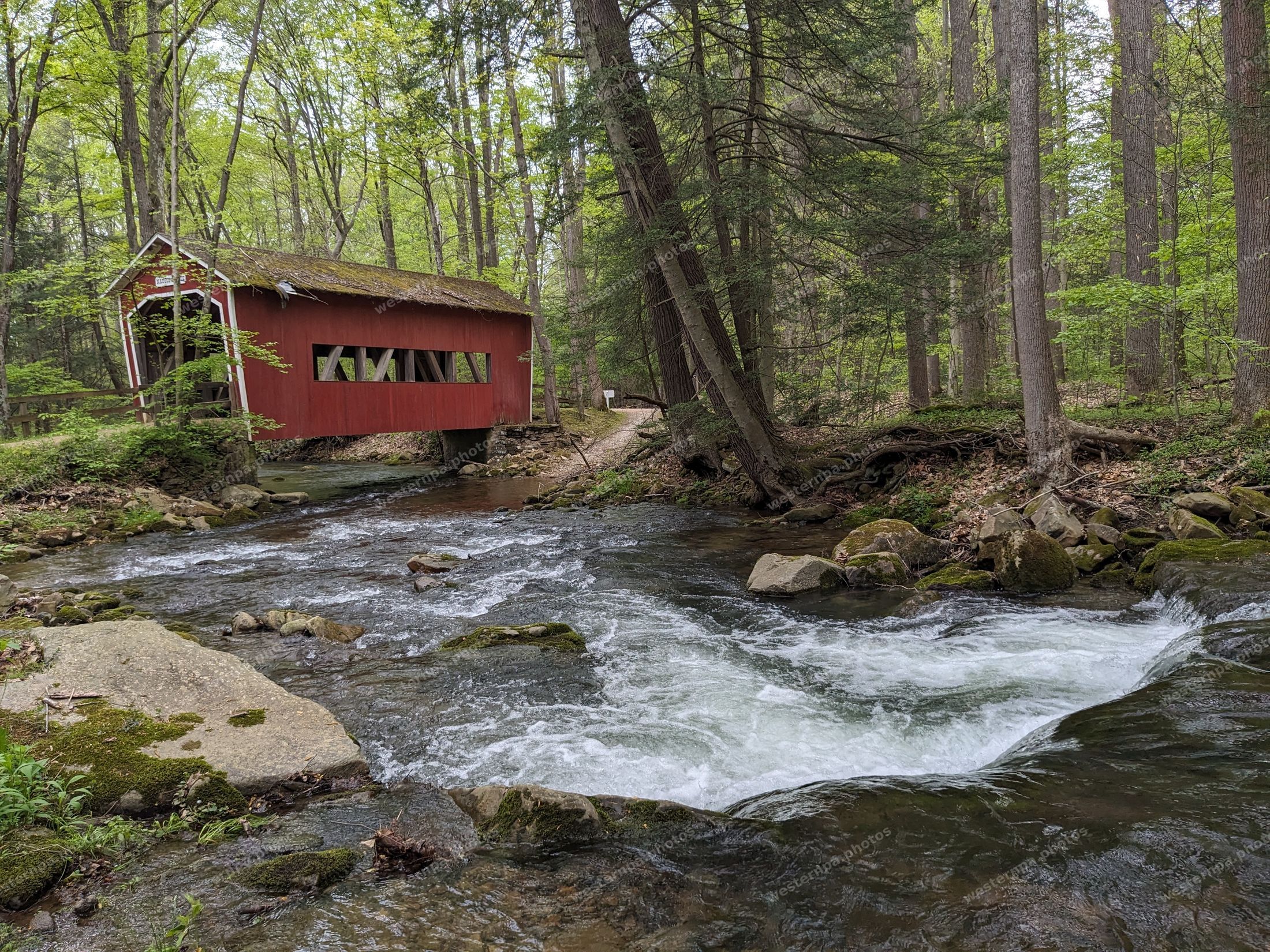 Red covered bridge over a rushing creek surrounded by spring forest